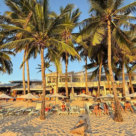 Calypso Beach And Dive Resort Manoc-Manoc Ngoại thất bức ảnh