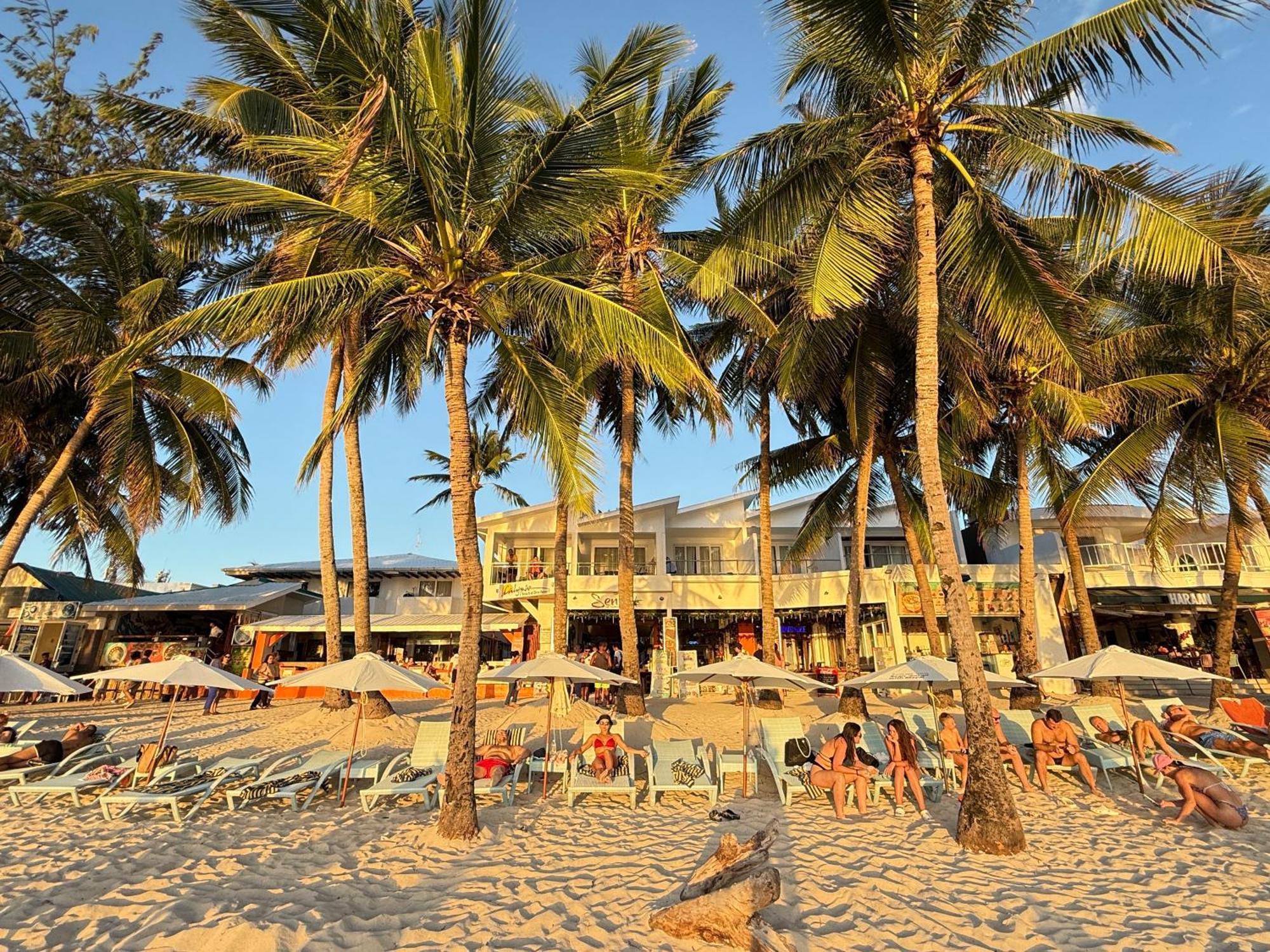 Calypso Beach And Dive Resort Manoc-Manoc Ngoại thất bức ảnh